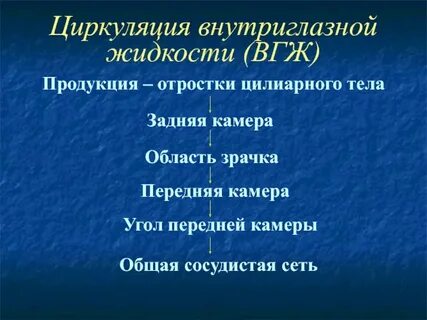 Внутриглазная жидкость