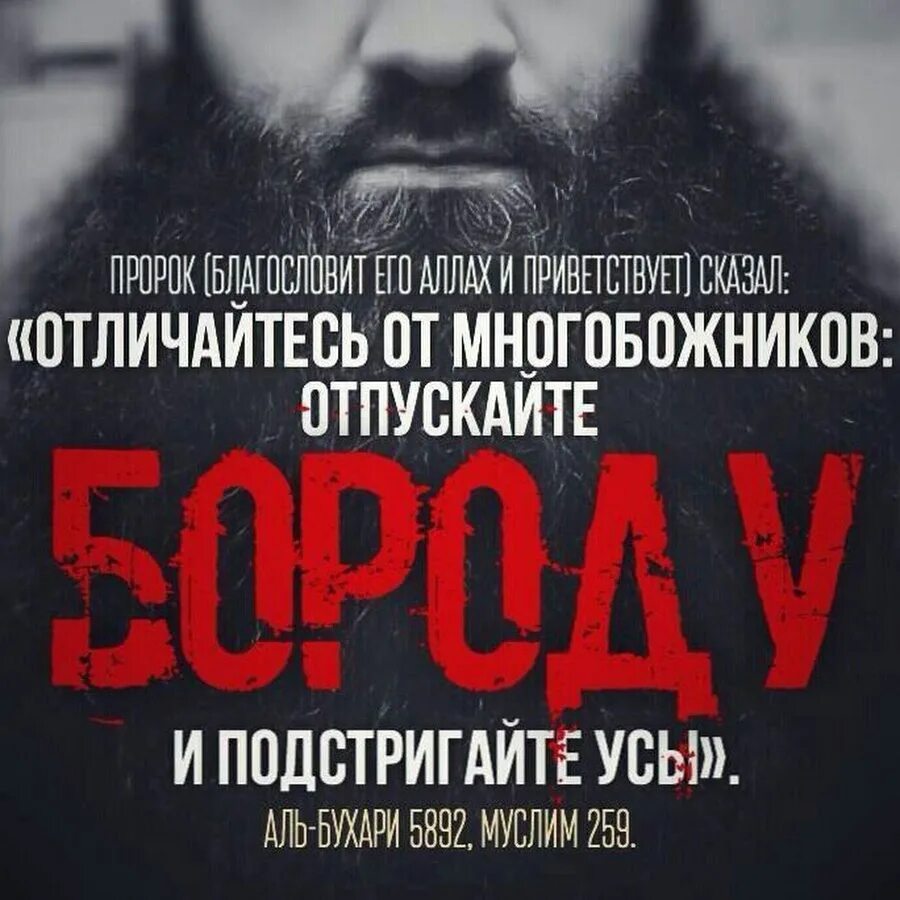 Хадис про бороду и усы. Надпись борода. Хадис о бороде. Борода в исламе хадисы. Борода в коране.