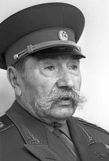 Буденный первый председатель правления. Семён будённый 1973. Буденный первый председатель правления. Буденный первый председатель правления. Маршал буденный.