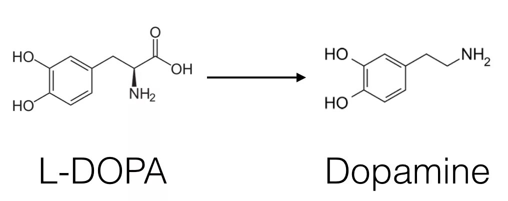 Леводопа тирозин дофамин. Синтез дофамина. Дофамин формула. Допа.