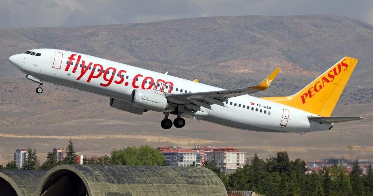 Авиалинии пегасус. Авиакомпания пегасус эйрлайнс. pegasus airlines авиакомпании турции. пегасус эйрлайнс самолеты. пегасус аирлинес авиакомпания.