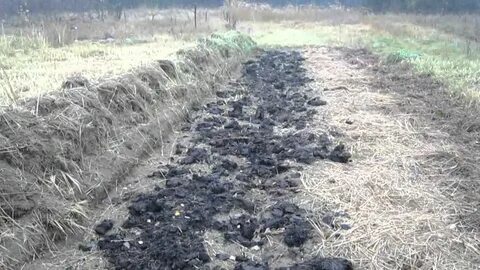 Когда лучше удобрять землю навозом осенью