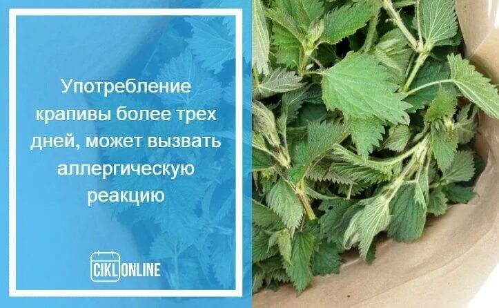 Пьют ли крапиву при крапив. Отвар из крапивы при кровотечении. Крапива двудомная лекарственные препараты. Крапива кровоостанавливающее.