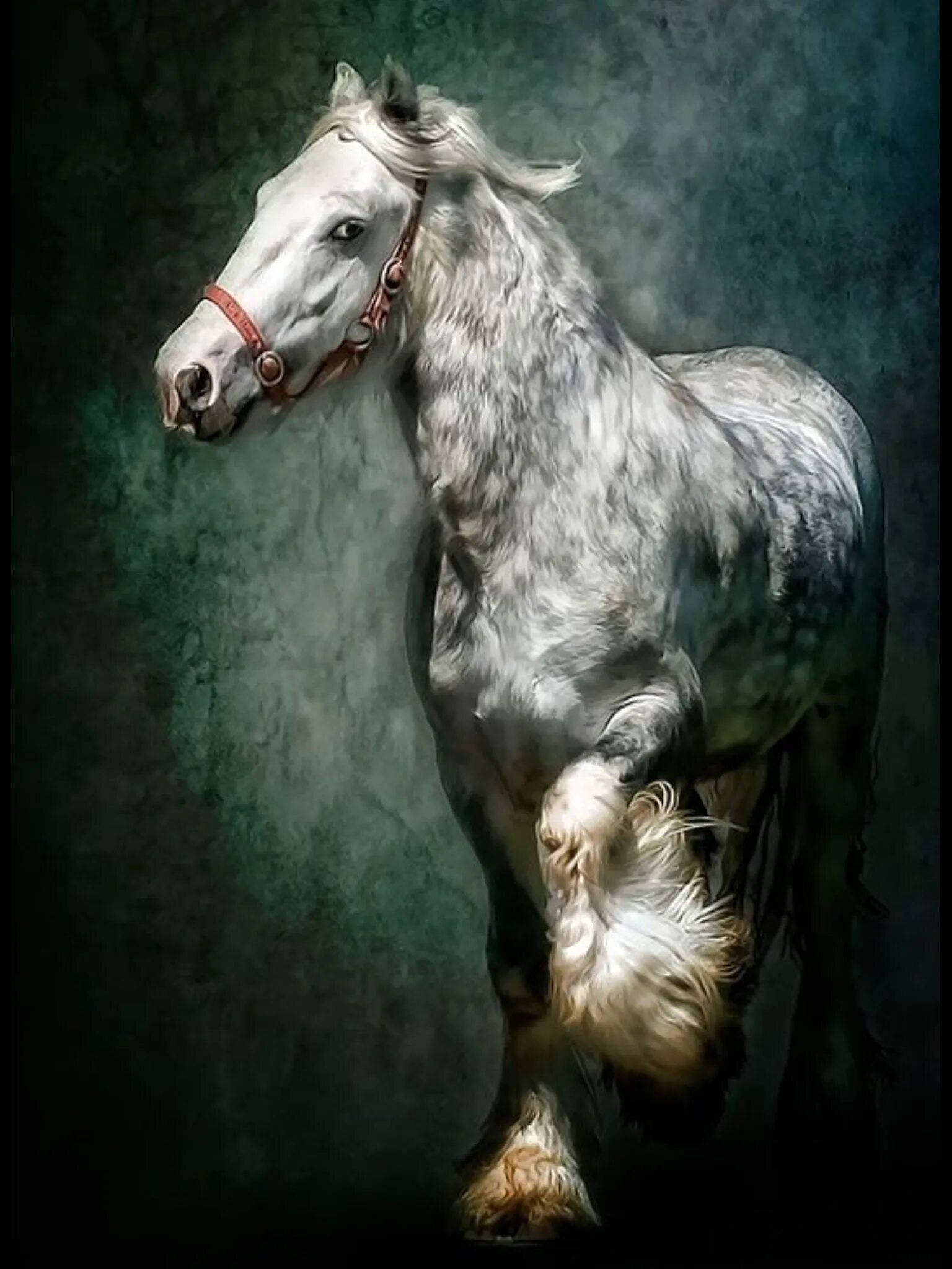 Арт фото лошади doll28 260-painting