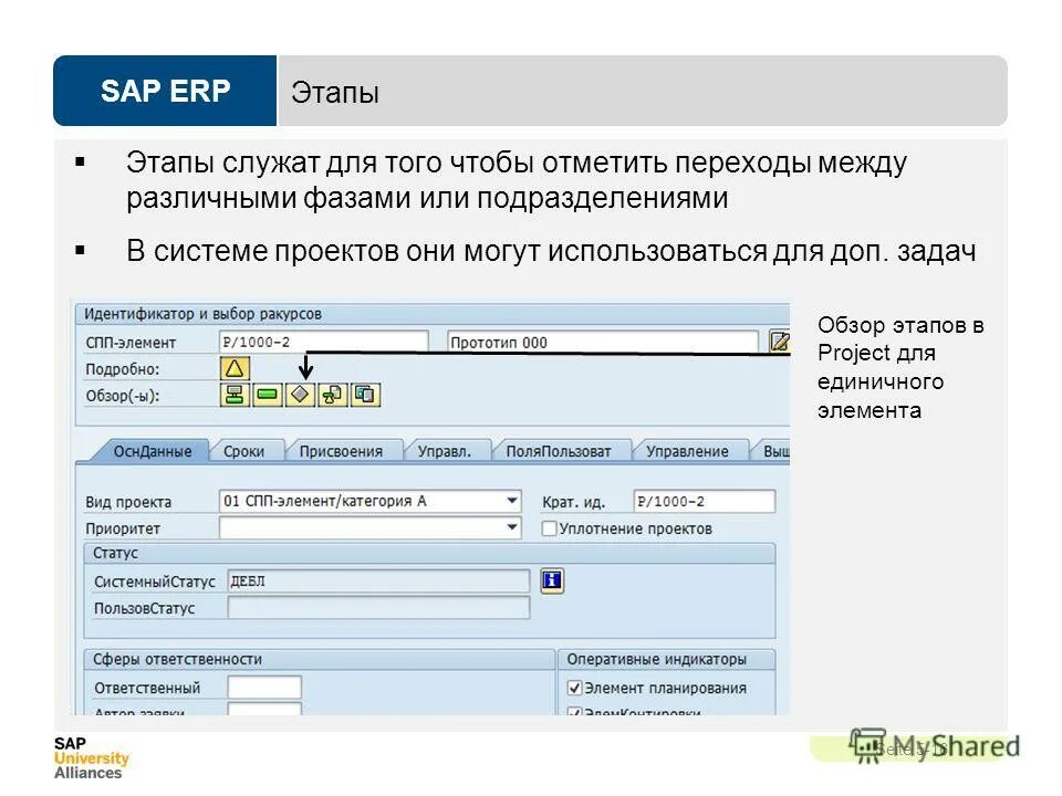 Sap скрины. Sap erp спп-элемент что это. Структура спп-элементов. Спп элемент это в сап. Спп элемент это в сап.