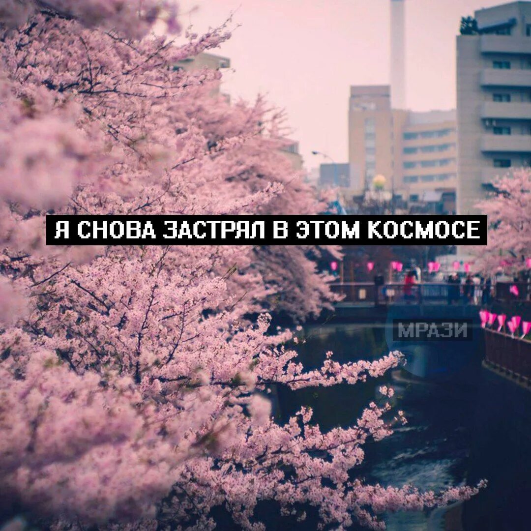 Цитаты под инсту. Сохранёнки с цитатами. грустные цитаты на красивом фоне. топовые цитаты. красивые сохраненки с цитатами.