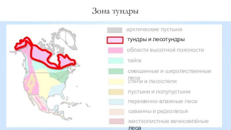 Тундра в Северной Америке на карте. Где находится тундра в Северной Америке на карте. Географическое положение зоны арктических пустынь на карте. На севере материка природные зоны расположены