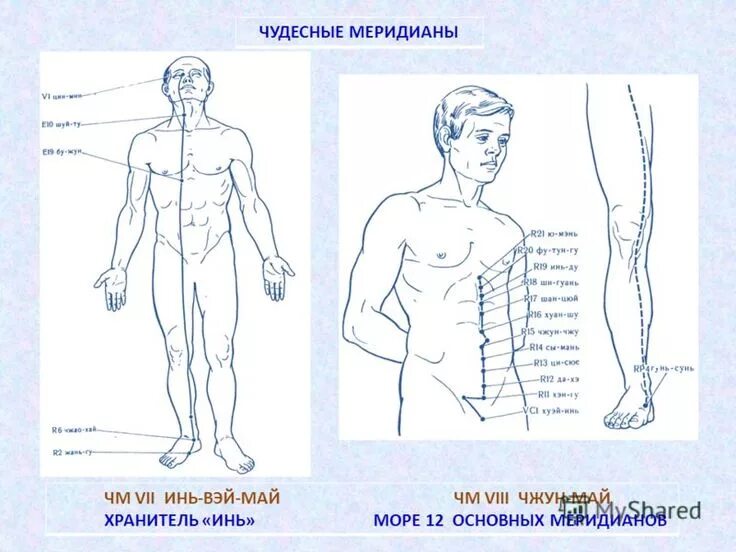 Меридианы указывают направление. Меридианы человека. Меридианы человека схема. Меридианы на теле человека схема. Чудесные меридианы человека.