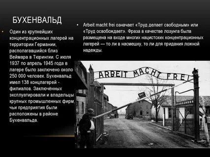 Лозунги концлагерей