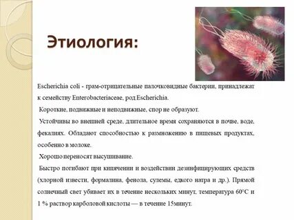 Описание коли