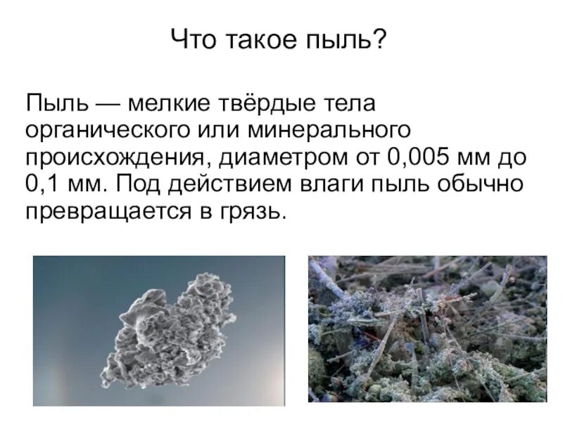 Частицы мелкой пыли. Пыль. Пылевые частицы. Строение пыли. Частички пыли под микроскопом.