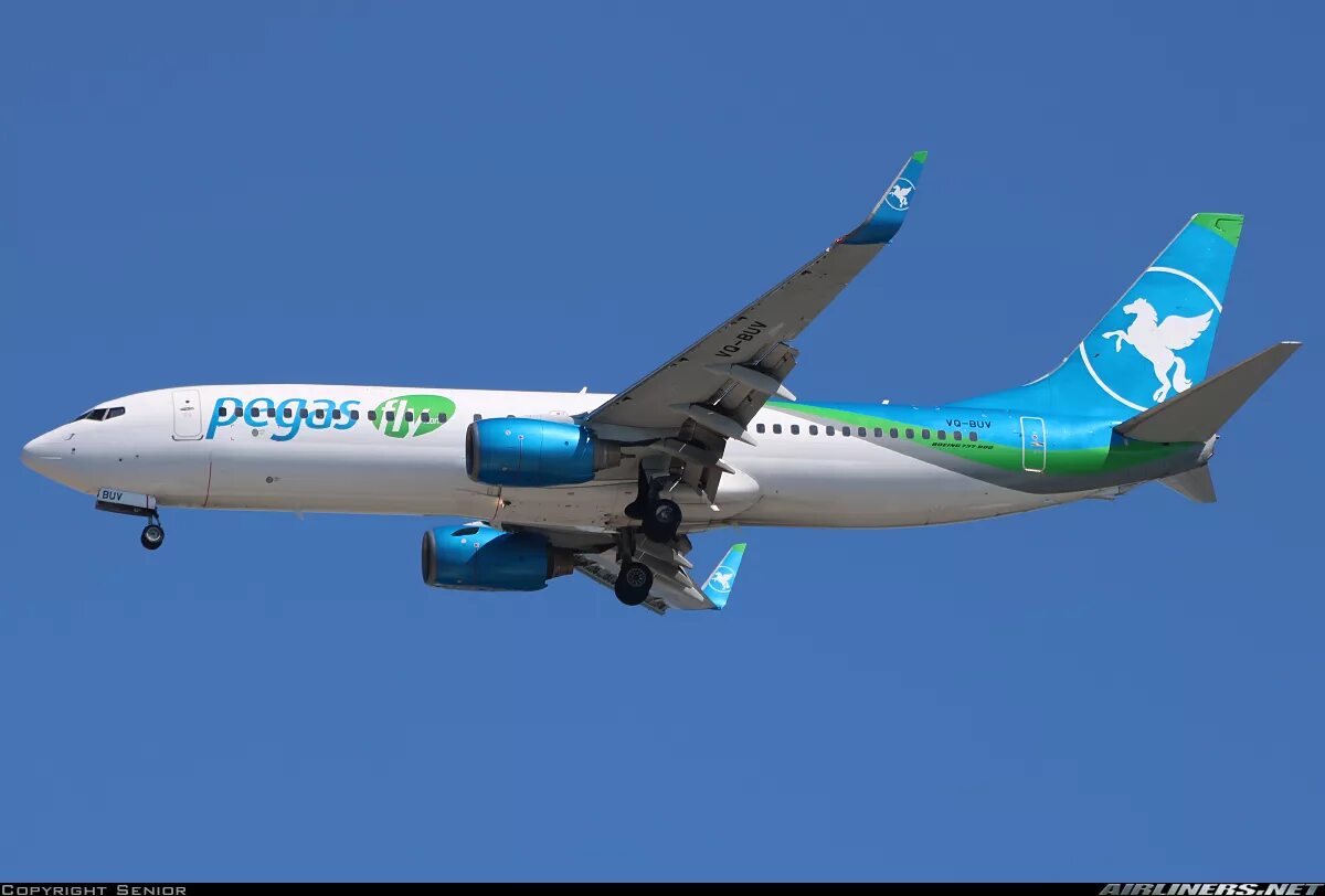 Авиакомпания пегас флай сайт. Boeing 737-900 pegas fly. боинг 737 пегас. модель самолета boeing 737 pegas fly. боинг 737-800 пегас флай.