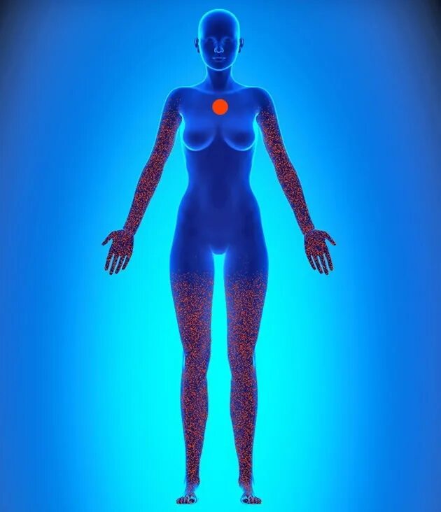 Оказался в женском теле. Female upper body. Биоэнергетический массажер фохоу. Анатомия тела женщины. Рентген женщины.