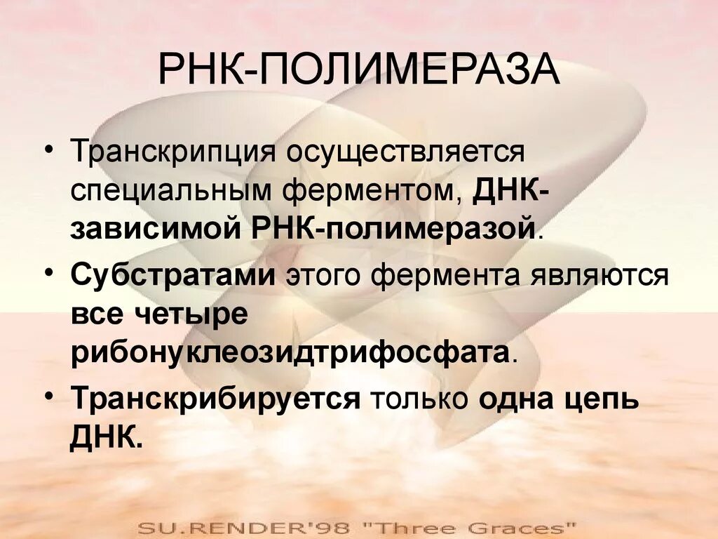 РНК полимераза. Фермент РНК полимераза. ДНК-зависимая РНК-полимераза.