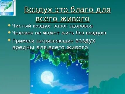 Что делать для чистоты воздуха