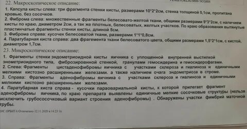 Гистология это анализ