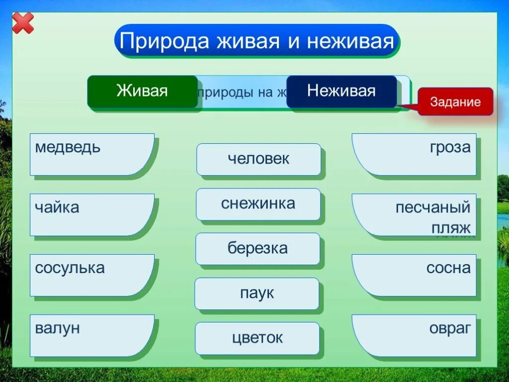 Привести пример живой и неживой природы. Живая и неживая природа. Объекты живой природы. Объекты живой и неживой природы. Живая и неживая природа задания.