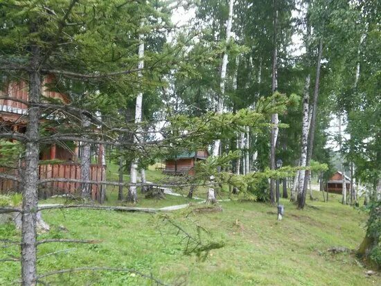 Причал талакан. База причал талакан амурская. Турбаза причал талакан. Причал талакан. База причал бурейское водохранилище.