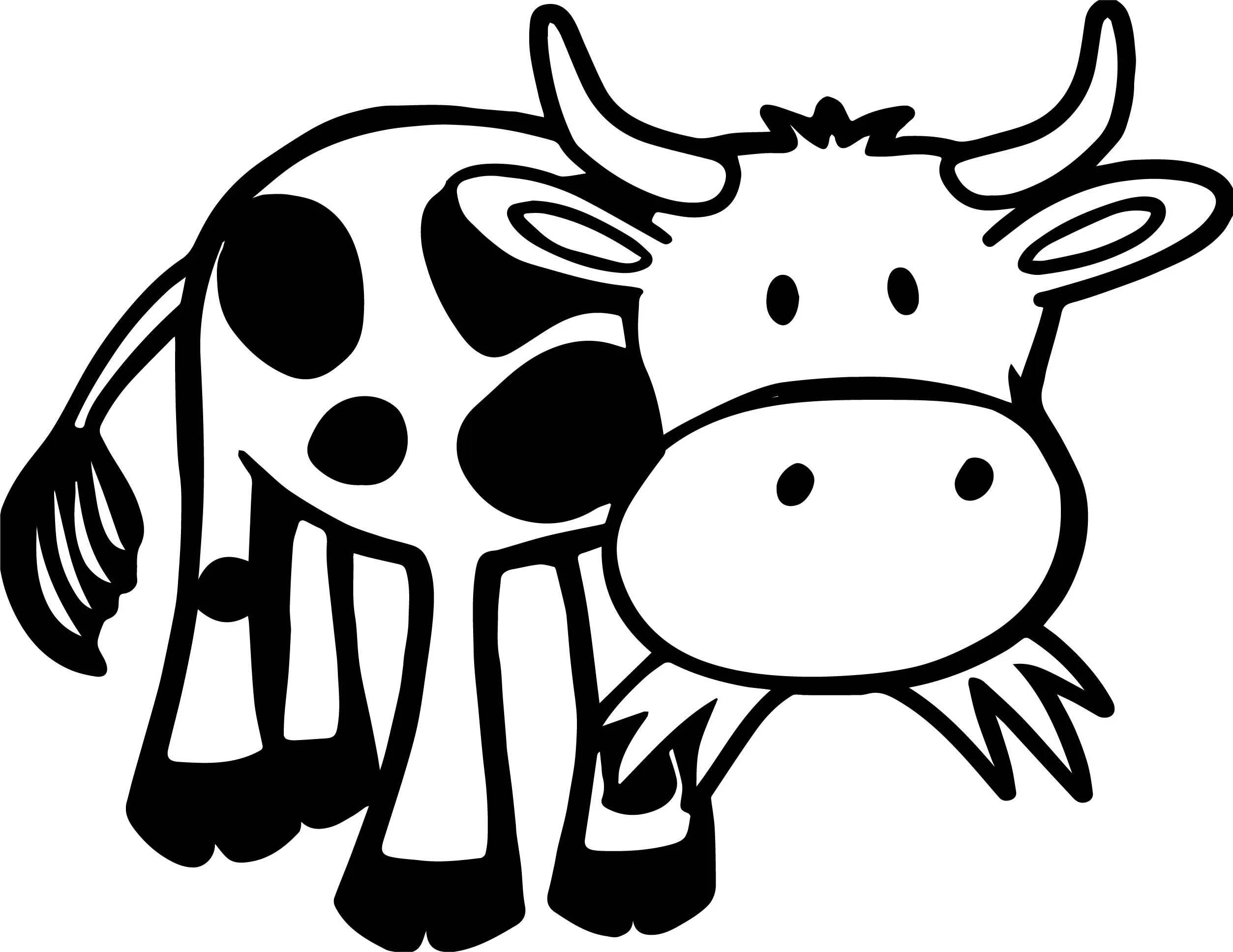Белые картинки для детей. Корова рисунок. Трафарет коровы. Корова черно белая. Корова мультяшный.