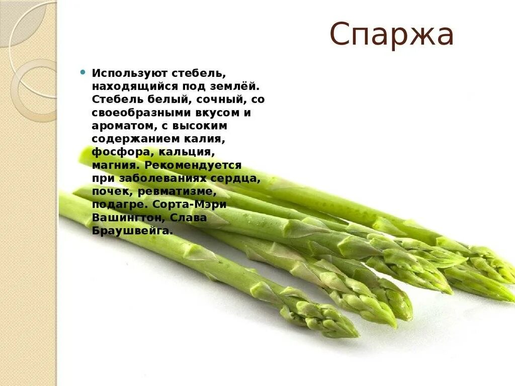 Спаржа польза или вред. Спаржа полезно. Спаржа характеристика. Спаржа витамины. Спаржа польза.