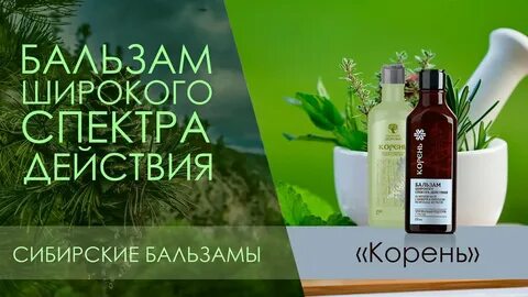 Корень широкого спектра действия сибирское