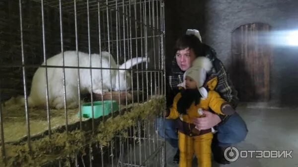 Мараловая ферма висим. Висимская зооферма. 1, д. Зооферма шихово зима 2022. Зооферма 1 московская область.