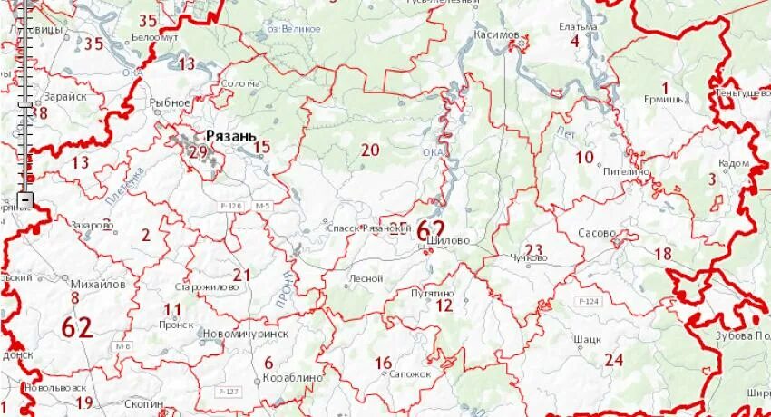 Кадастровая карта рязанского района. Карта Рязанской области с кадастром. Публичная кадастровая карта. Кадастровая карта Рязанской области. Публичная кадастровая карта Рязанской области.