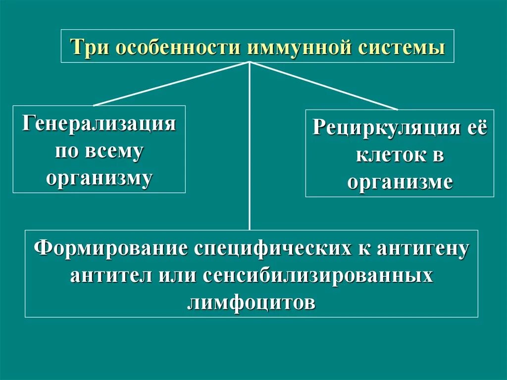 Три характерный. Особенности иммунной системы. Особенности функционирования иммунной системы. Иммунная система организма ее особенности. Особенности строения иммунной системы.