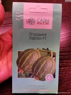 Огурдыня отзывы