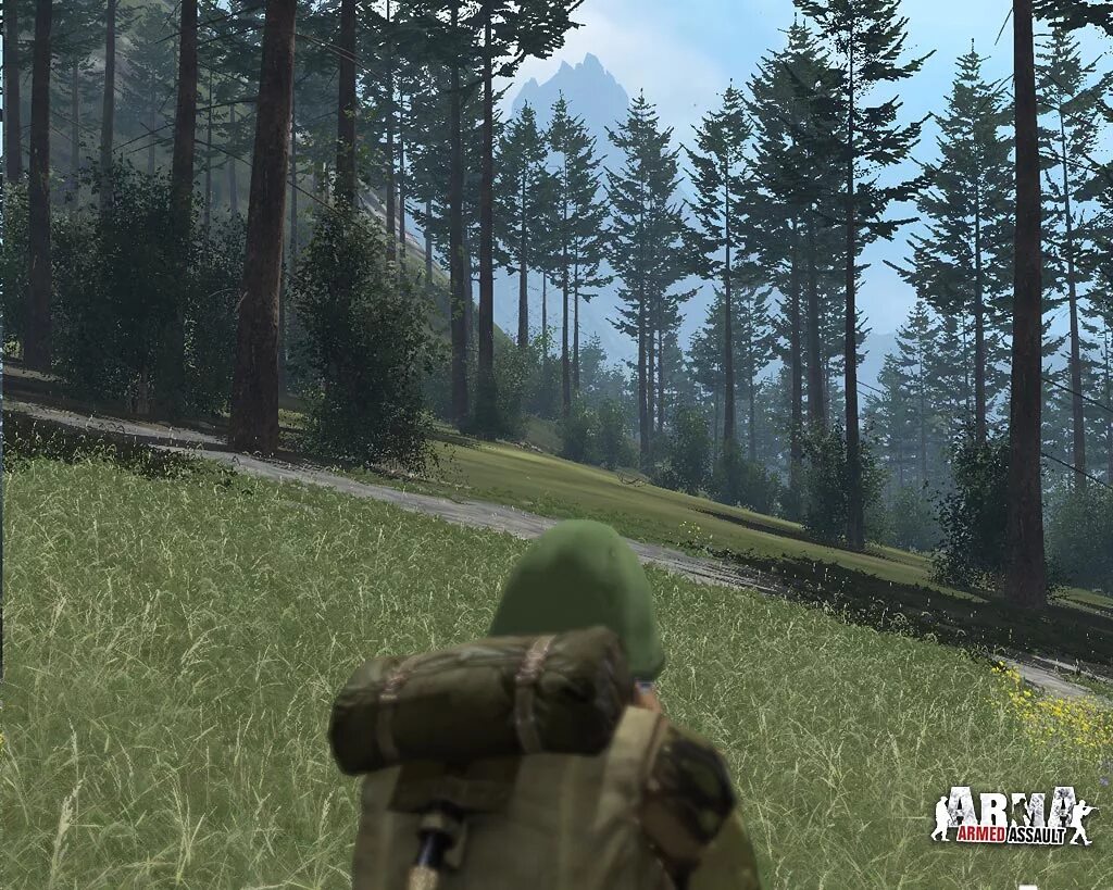 Armed assault. Игра armed assault. arma armed assault gold. arma gold edition. arma 1 gold edition.
