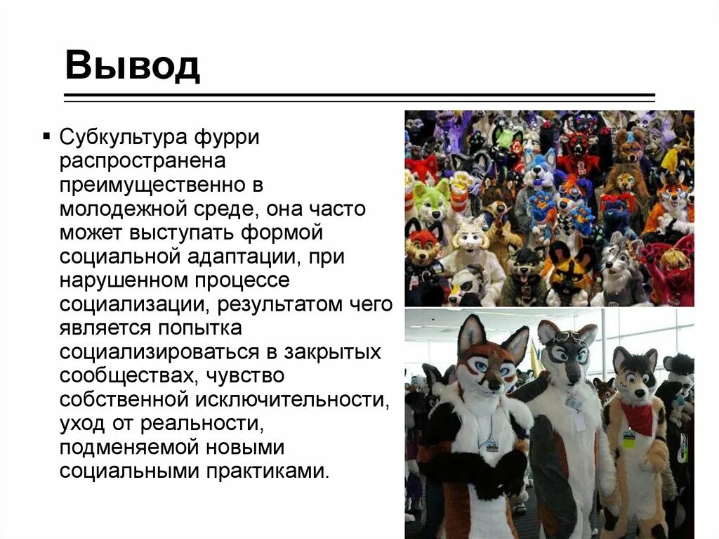 Фурри субкультура доклад. Референс фурри лисы. Классификация фурри. Субкультура фурри презентация. Polypus scriptorem.