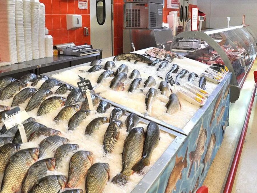 Рыбный форум. Фишмаркет. Рыбная лавка в греции. Рыбная ярмарка в чите 2023. Данилово рыбалка.