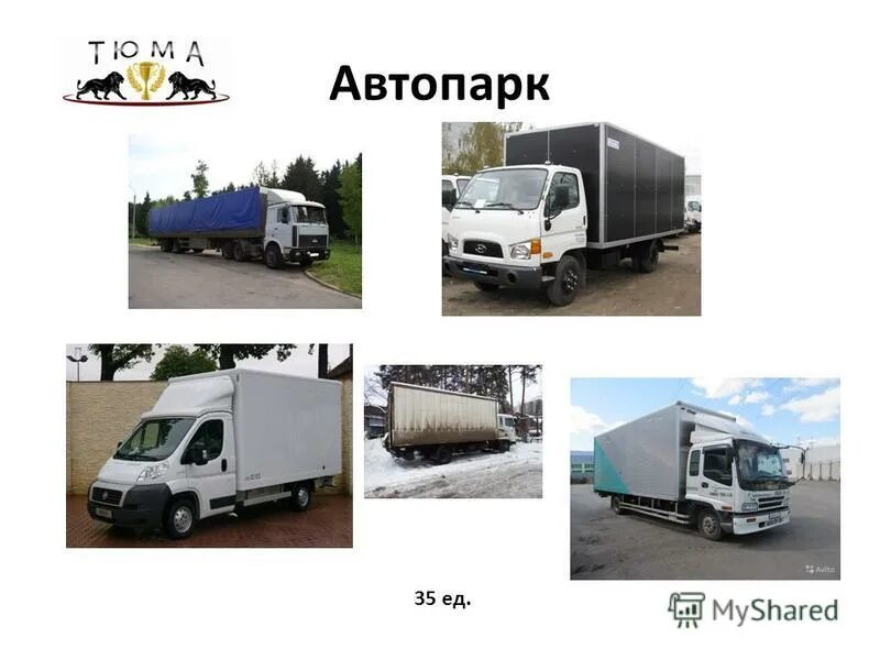 автопарк 35. автопарк 35. автопарк 35. такси и каршеринг. автопарк полиции казахстана.
