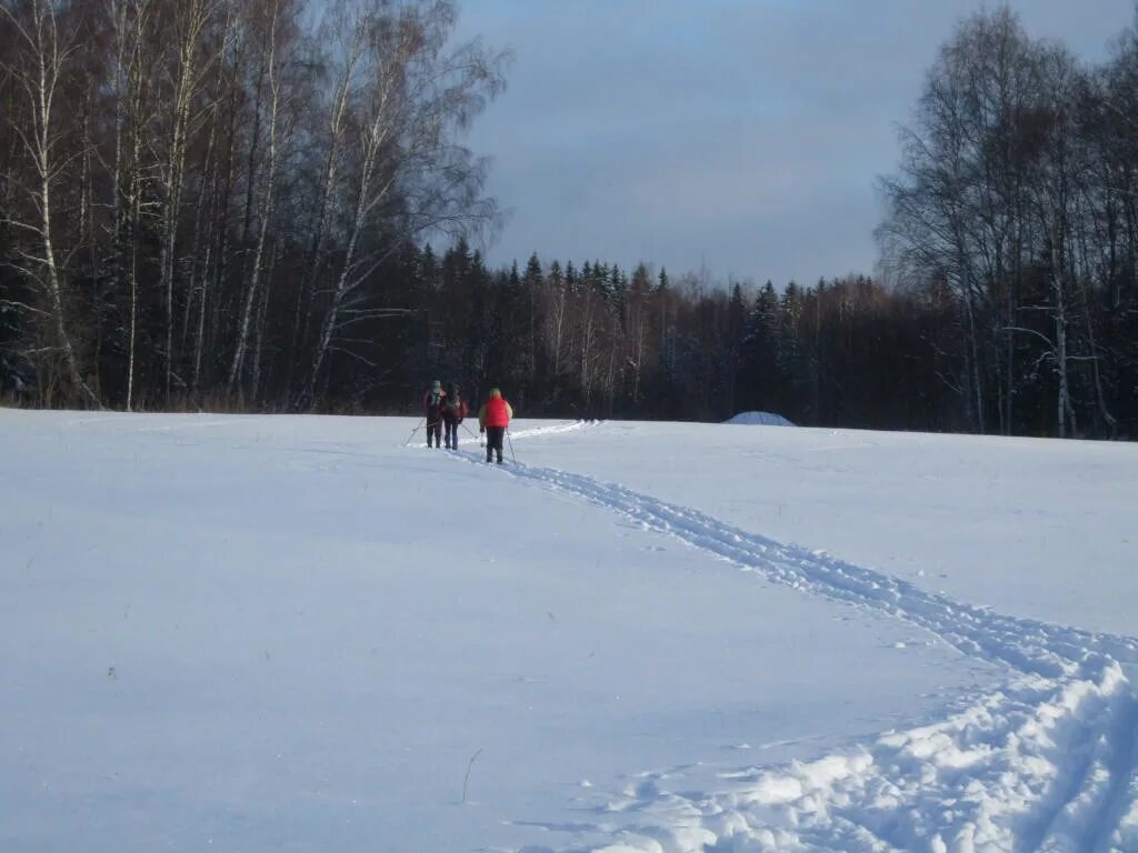 окружная морозки сегодня