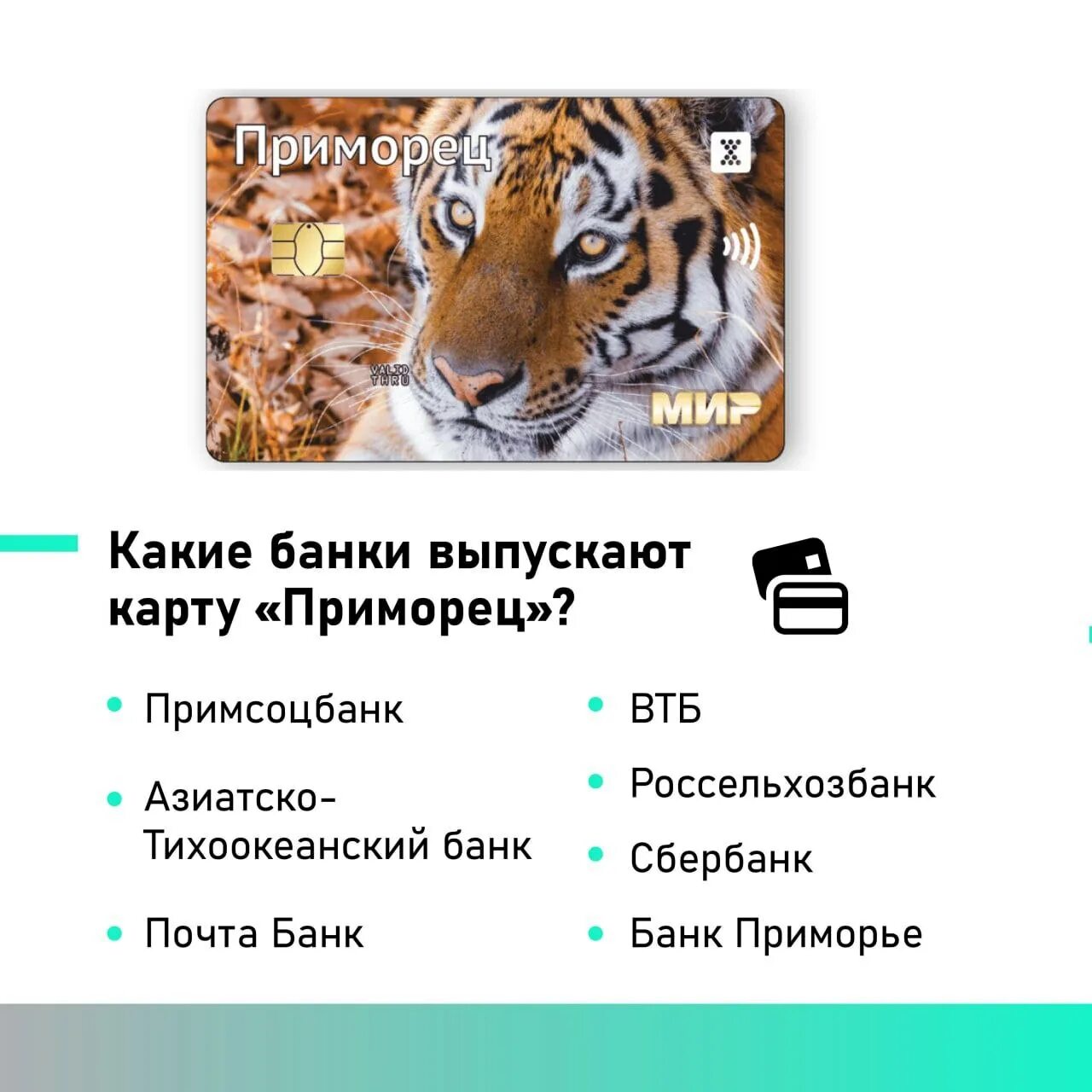 Карта приморец. Социальная карта приморец. что дает карта приморца.
