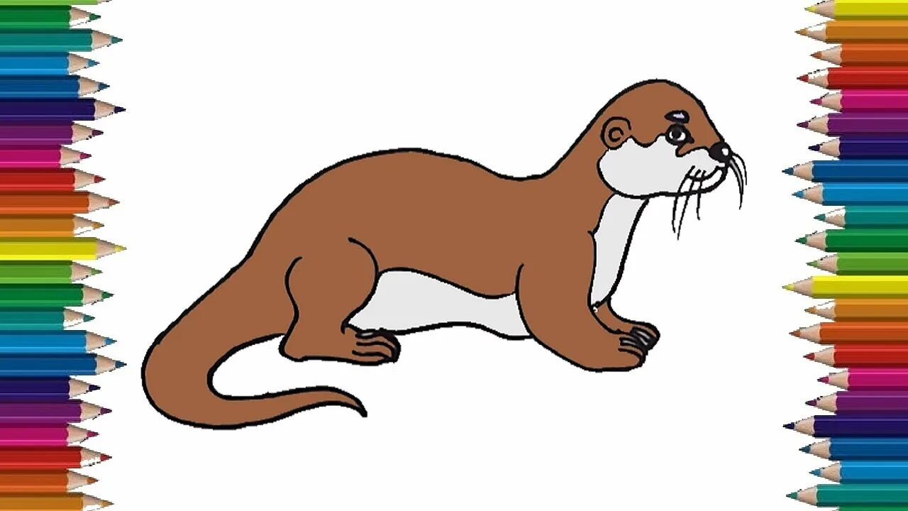 Https easy com. Выдра рисунок для детей. Выдра рисунок карандашом. Otter cartoon. Выдра рисунок акварель.