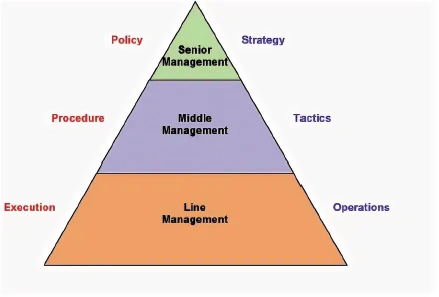 Мидл-менеджмент это. Levels of Managers. Middle и Top менеджмент. Middle менеджмент это.