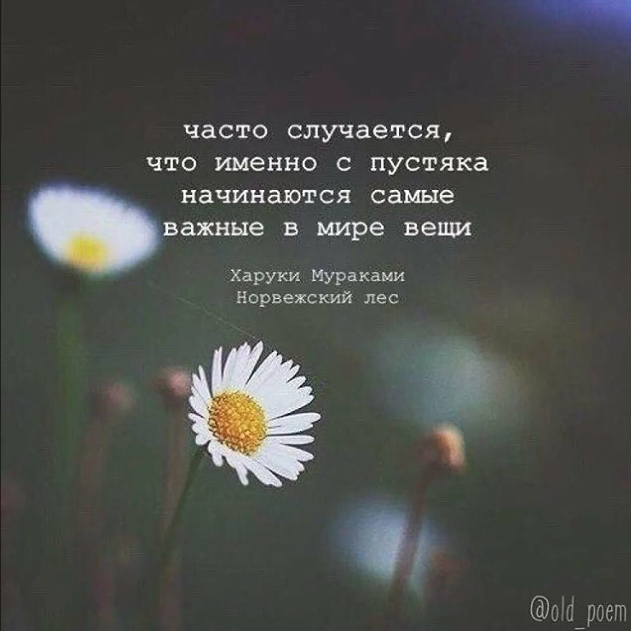 Самое важное в мелочах