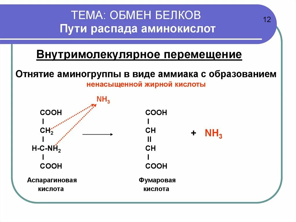 Пути распада. Общая схема распада аминокислот. Общая схема путей распада аминокислот.. Пути распада аминокислот до конечных продуктов. Схема конечных продуктов распада аминокислот.