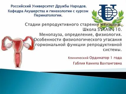Старение репродуктивной системы
