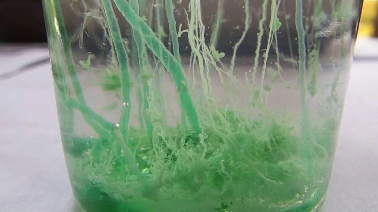 Химические водоросли. Силикатные водоросли. Химические водоросли опыт. Силикатный сад. Силикатные Кристаллы.
