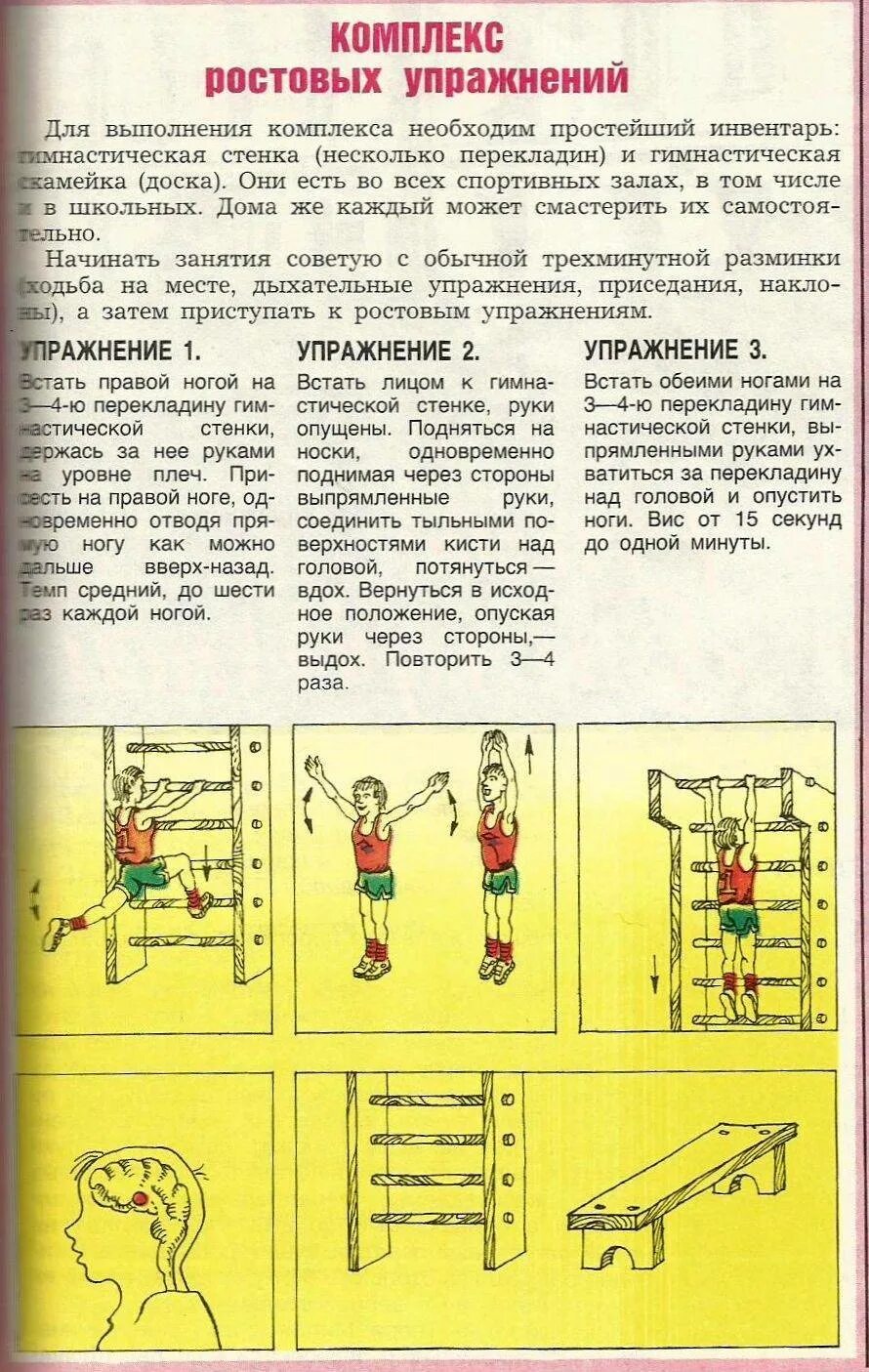 Как вырасти в размере. Упражнения для роста. Упражнения для увеличения роста. Упражнениялля увеличения роста. Упражнения для роста подростков.