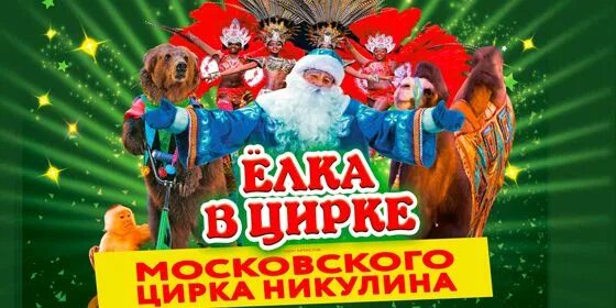 Брянский цирк афиша на март. Цирк брянск. цирк брянск афиша. брянский цирк афиша.