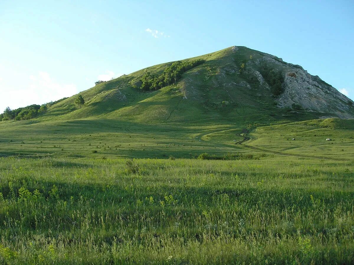 Холм 53. Ардымский Шихан Пензенская область. Ардымский Шихан Пенза. Гора Ардымский Шихан. Гора Шихан Пензенская область.