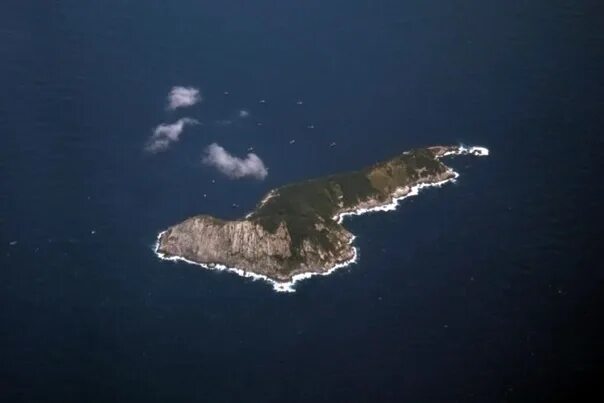 Змеиный остров (snake island), бразилия. Остров гранди бразилия. Змеиный остров в бразилии. Остров кайман гранди. Самый опасный остров кеймада гранди.