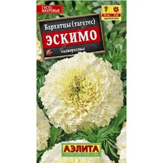 Бархатцы эскимо описание