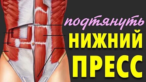 Нижний пресс