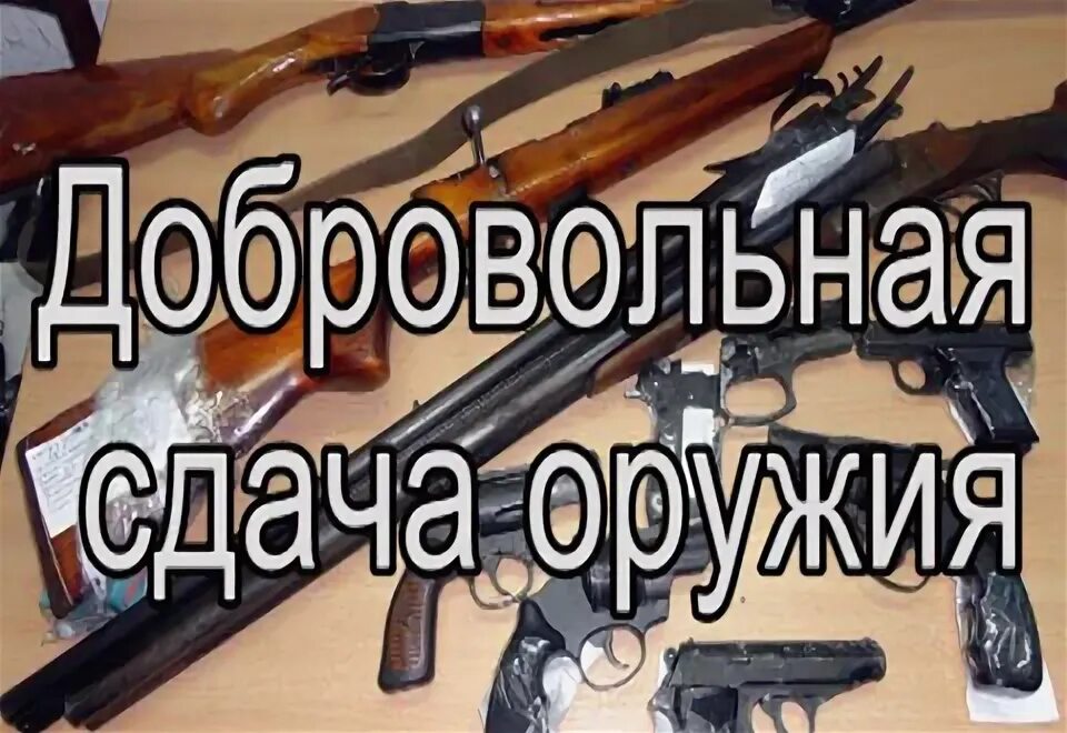 Добровольная сдача оружия. Добровольная сдача оружия за вознаграждение. Добровольно сдал оружие. Сдать оружие за вознаграждение. Сдать оружие в комиссионный