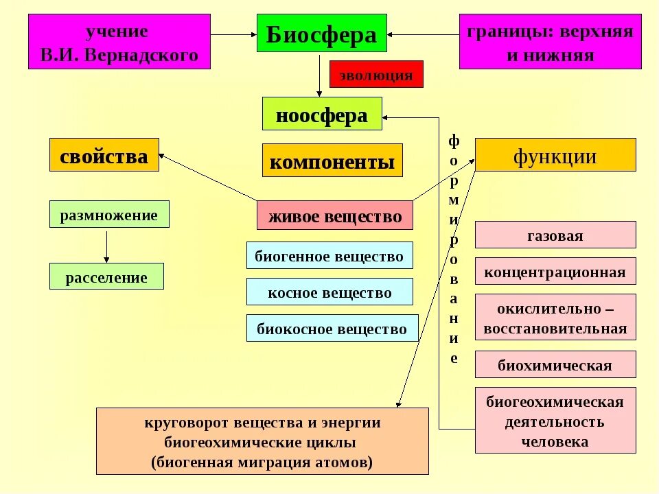 Конспект биосфера оболочка жизни. Термин Биосфера в биологии. Строение биосферы Вернадский. Вернадский учение о биосфере схема. Эволюция биосферы опорный конспект.