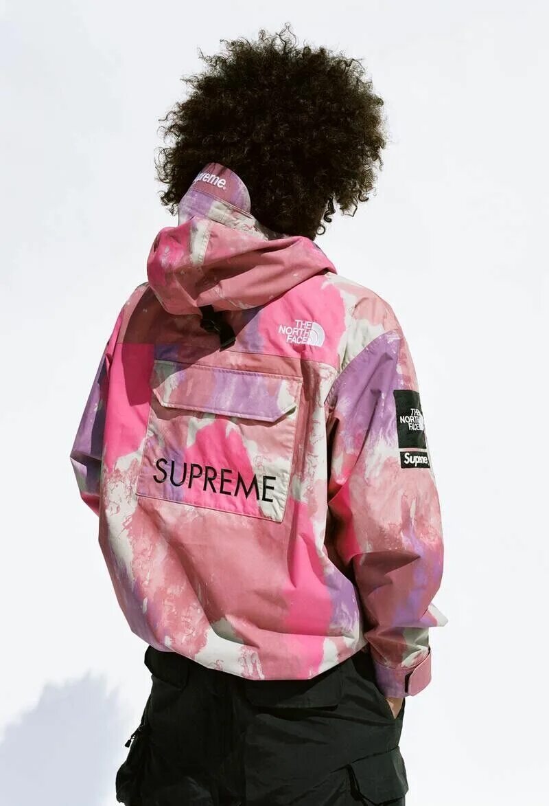 Купить supreme x. Ветровка the North face x Supreme. TNF Supreme куртка. The North face Supreme ветровка. Куртка Суприм и Норт фейс.